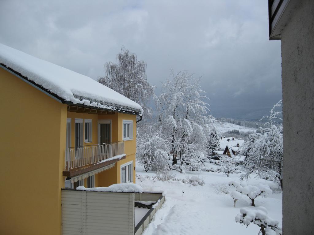 Gaestehaus Steininger Zwiesel Extérieur photo