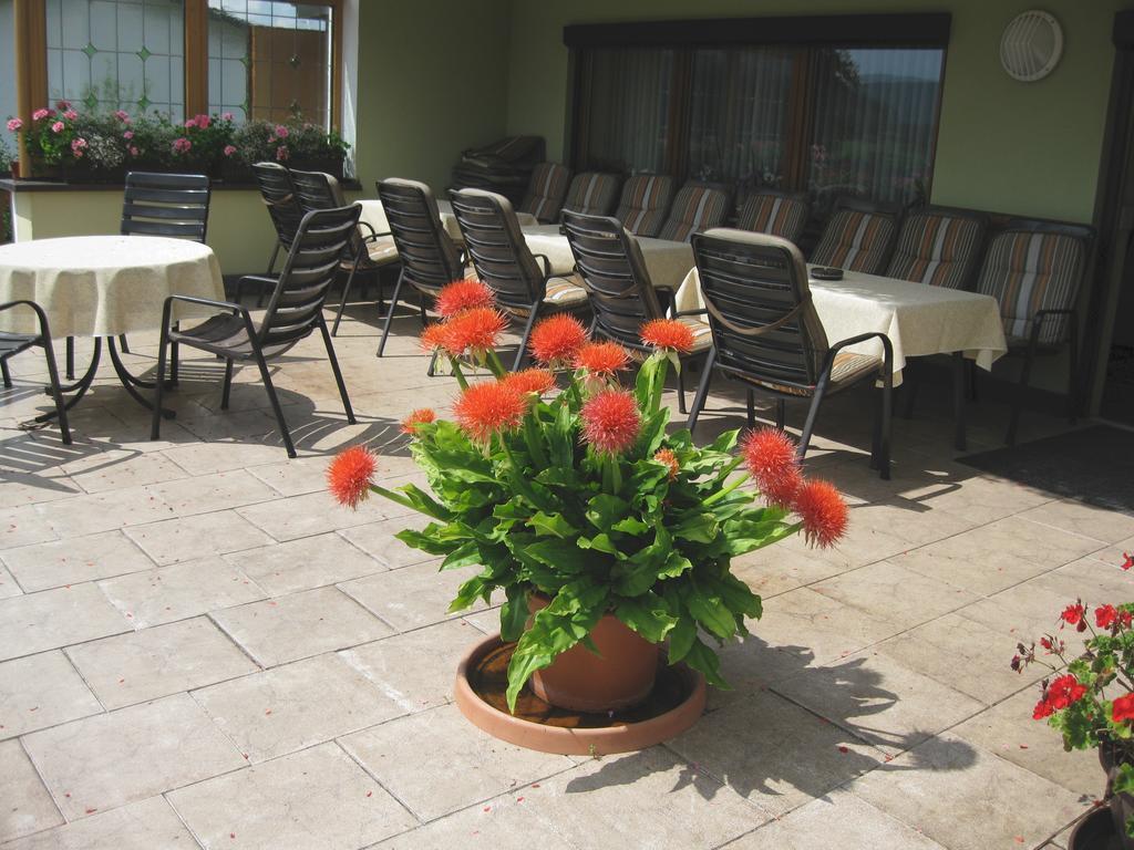 Gaestehaus Steininger Zwiesel Extérieur photo