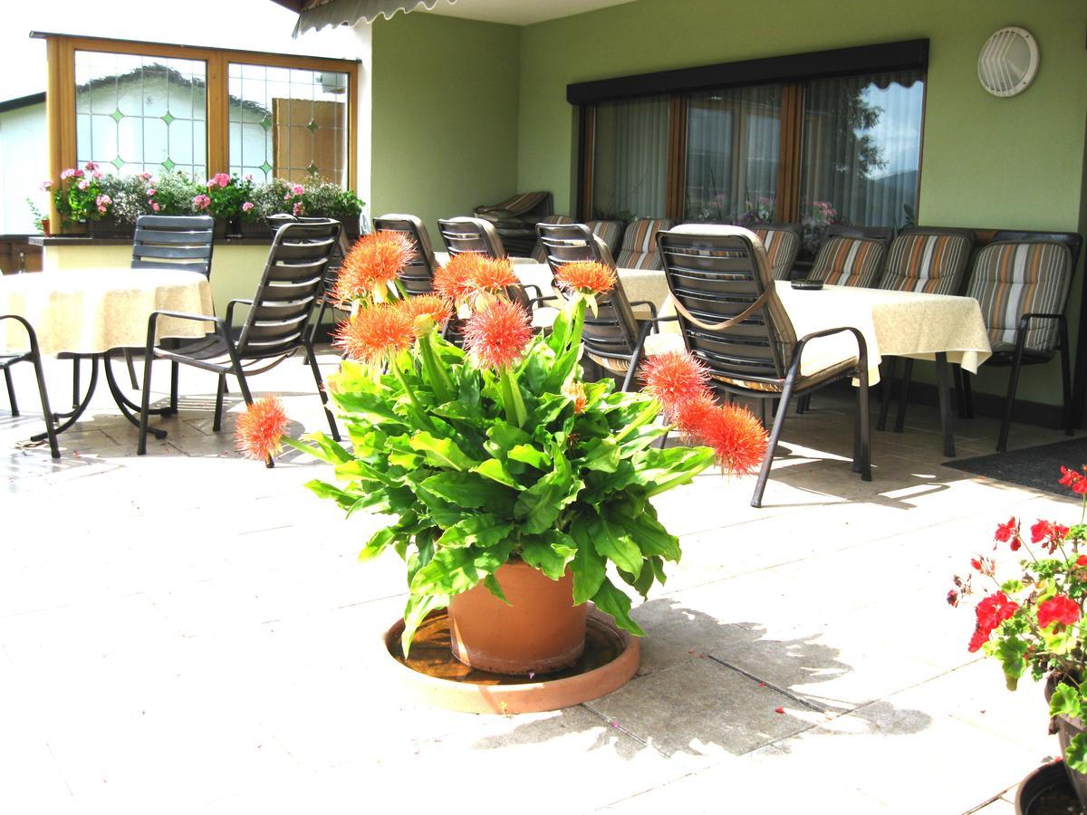 Gaestehaus Steininger Zwiesel Extérieur photo