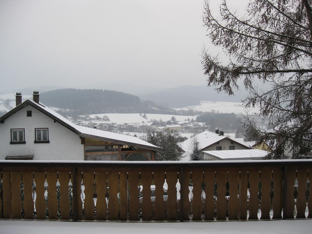Gaestehaus Steininger Zwiesel Extérieur photo