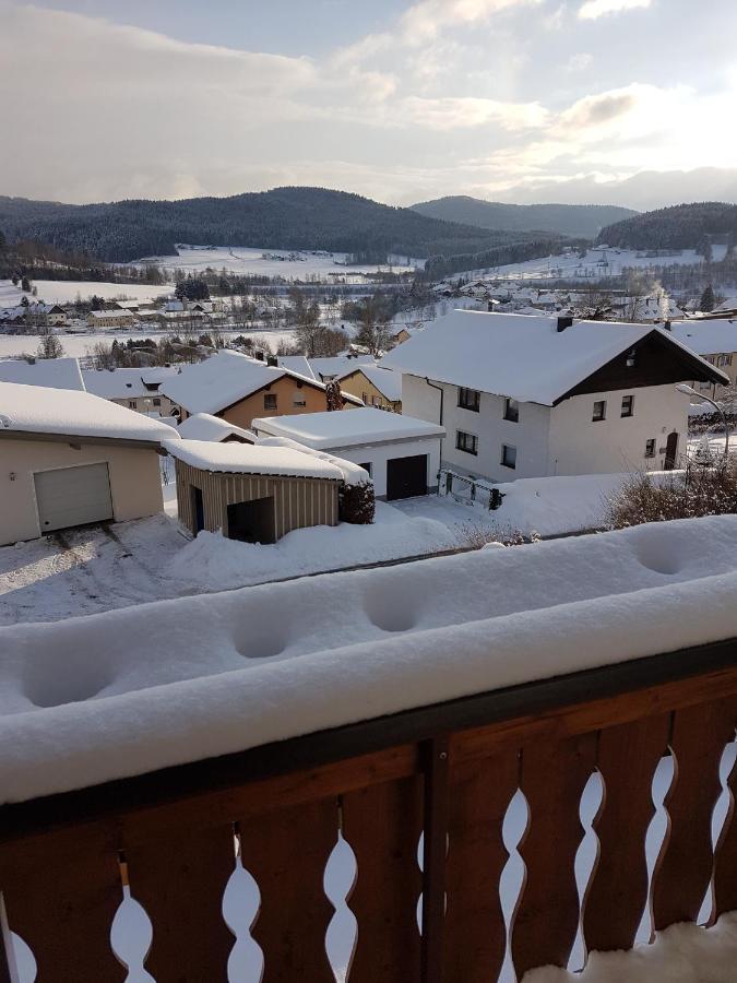 Gaestehaus Steininger Zwiesel Extérieur photo